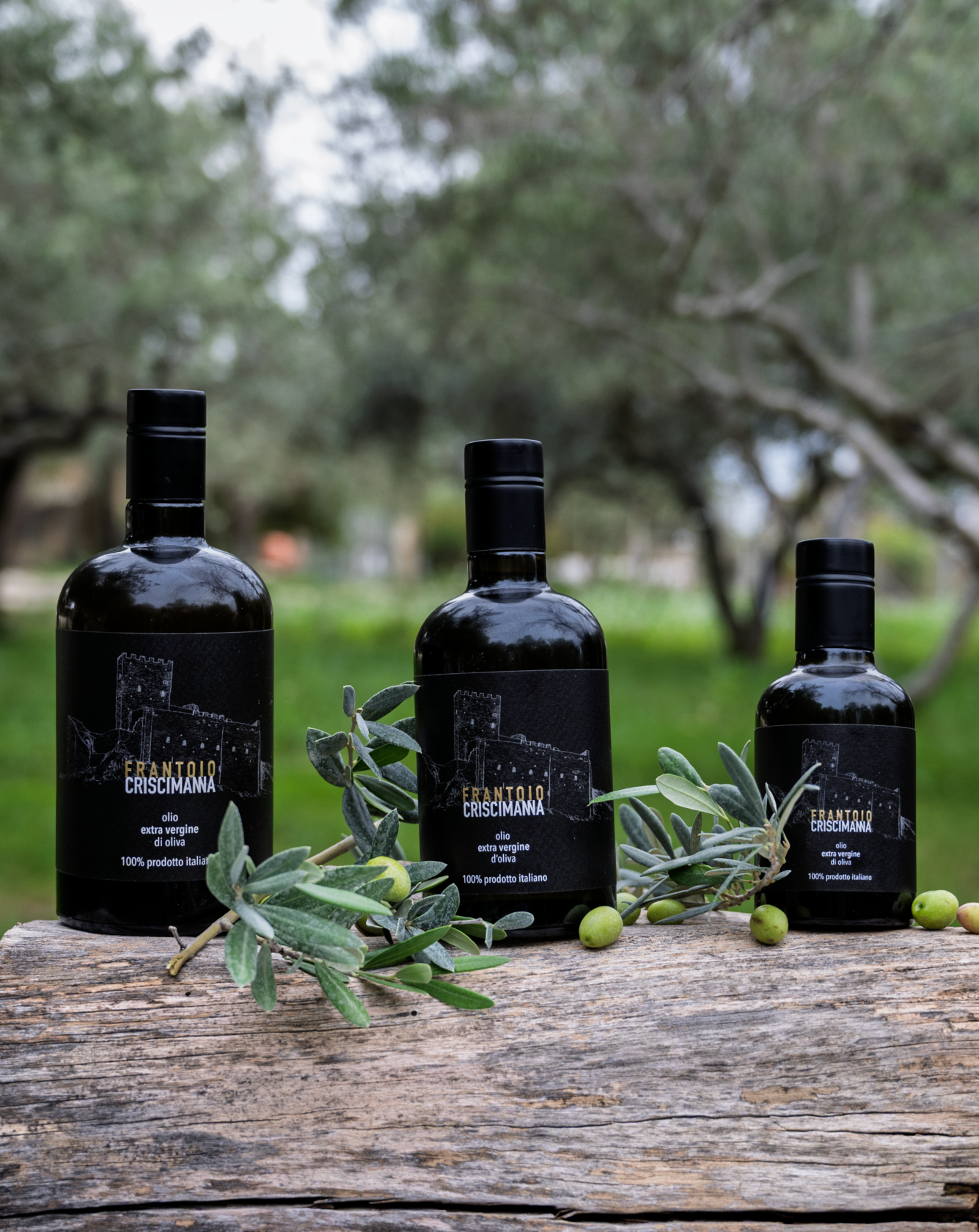 Tradizionale - Olio extra vergine di oliva italiano in bottiglia - immagine 2